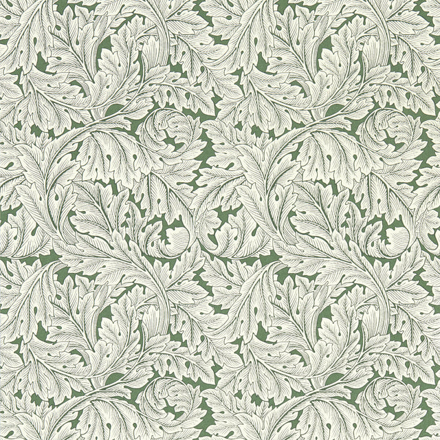 CLARKE AND CLARKE W0175/01.CAC.0 ACANTHUS SAGE WP Wallpaper - Eade's Wallpaper