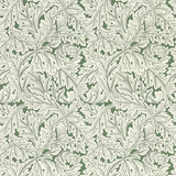 CLARKE AND CLARKE W0175/01.CAC.0 ACANTHUS SAGE WP Wallpaper - Eade's Wallpaper