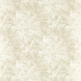 CLARKE AND CLARKE W0177/01.CAC.0 DIPINTO IVORY WP Wallpaper - Eade's Wallpaper