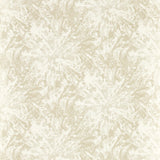 CLARKE AND CLARKE W0177/01.CAC.0 DIPINTO IVORY WP Wallpaper - Eade's Wallpaper