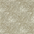 CLARKE AND CLARKE W0177/02.CAC.0 DIPINTO MINK WP Wallpaper - Eade's Wallpaper