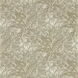 CLARKE AND CLARKE W0177/02.CAC.0 DIPINTO MINK WP Wallpaper - Eade's Wallpaper