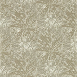 CLARKE AND CLARKE W0177/02.CAC.0 DIPINTO MINK WP Wallpaper - Eade's Wallpaper