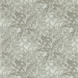 CLARKE AND CLARKE W0177/04.CAC.0 DIPINTO PEWTER WP Wallpaper - Eade's Wallpaper