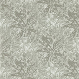CLARKE AND CLARKE W0177/04.CAC.0 DIPINTO PEWTER WP Wallpaper - Eade's Wallpaper