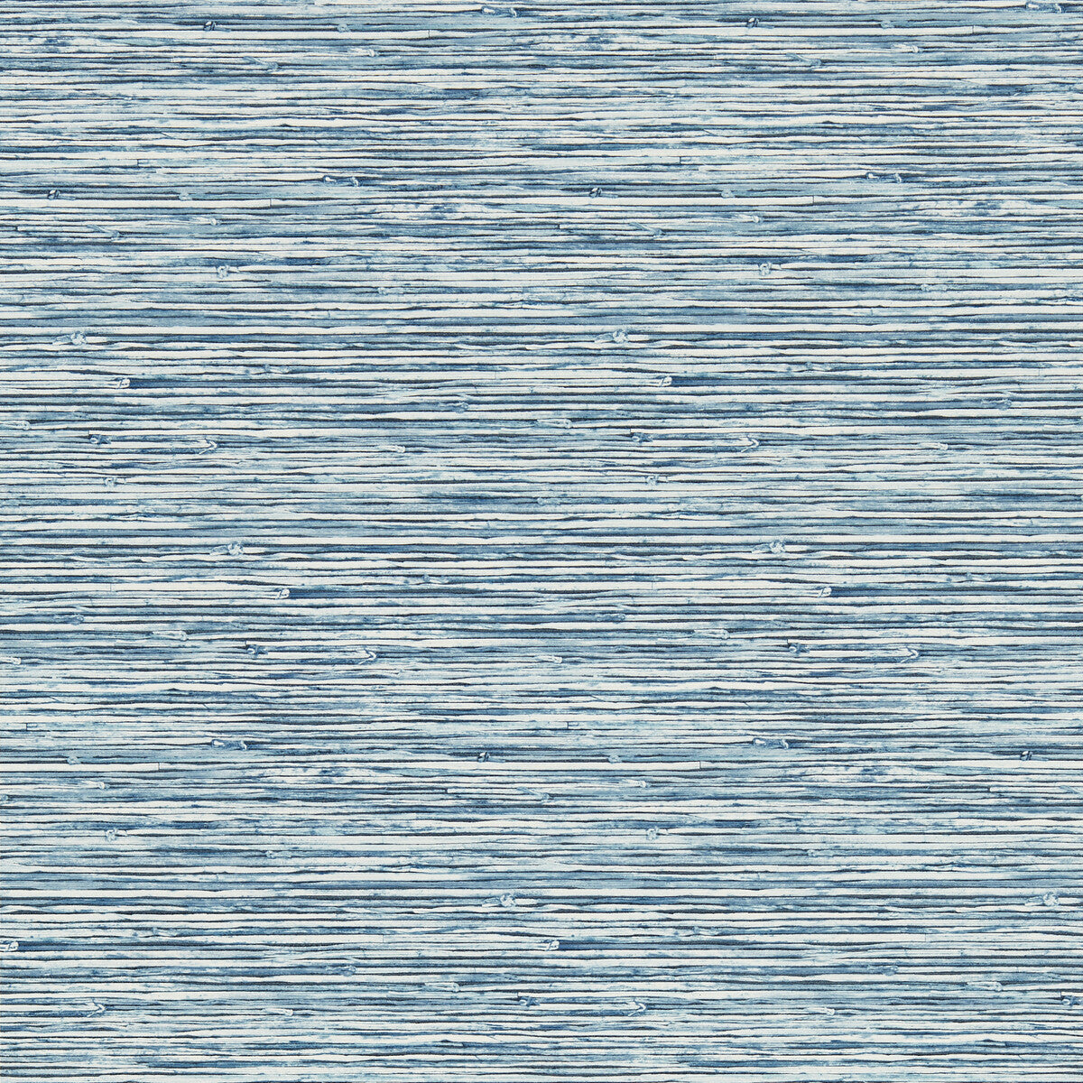 CLARKE AND CLARKE W0192/01.CAC.0 XAN CARIBBEAN WP Wallpaper - Eade's Wallpaper