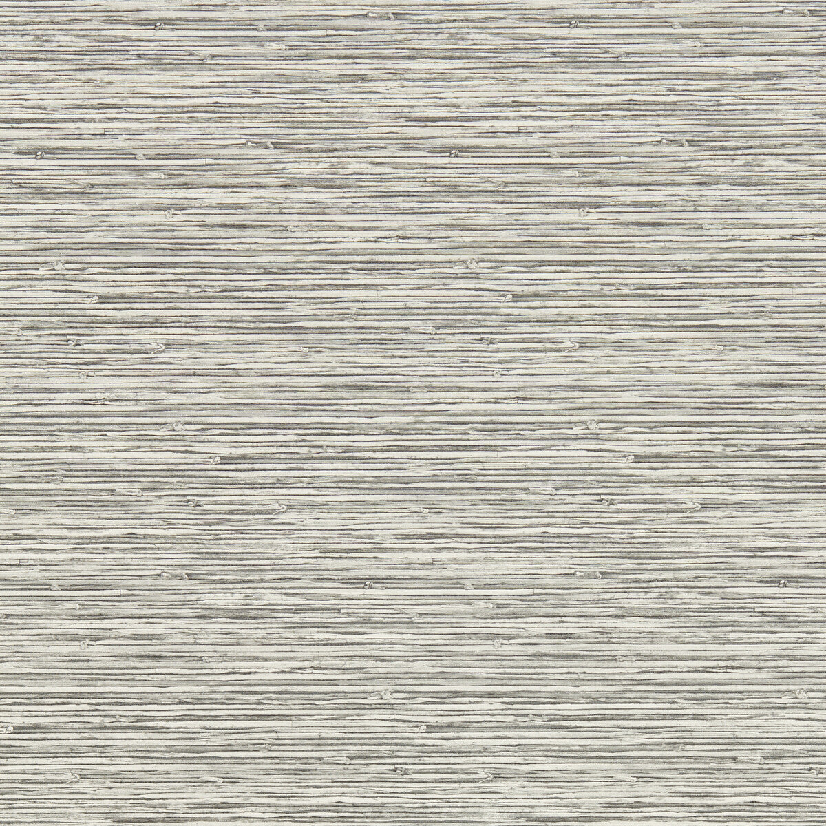 CLARKE AND CLARKE W0192/02.CAC.0 XAN DOVE WP Wallpaper - Eade's Wallpaper