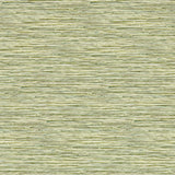 CLARKE AND CLARKE W0192/04.CAC.0 XAN PALM WP Wallpaper - Eade's Wallpaper