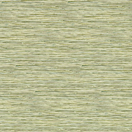 CLARKE AND CLARKE W0192/04.CAC.0 XAN PALM WP Wallpaper - Eade's Wallpaper