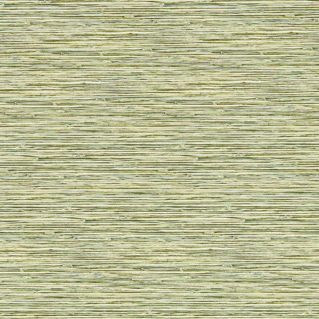 CLARKE AND CLARKE W0192/04.CAC.0 XAN PALM WP Wallpaper - Eade's Wallpaper