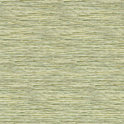 CLARKE AND CLARKE W0192/04.CAC.0 XAN PALM WP Wallpaper - Eade's Wallpaper