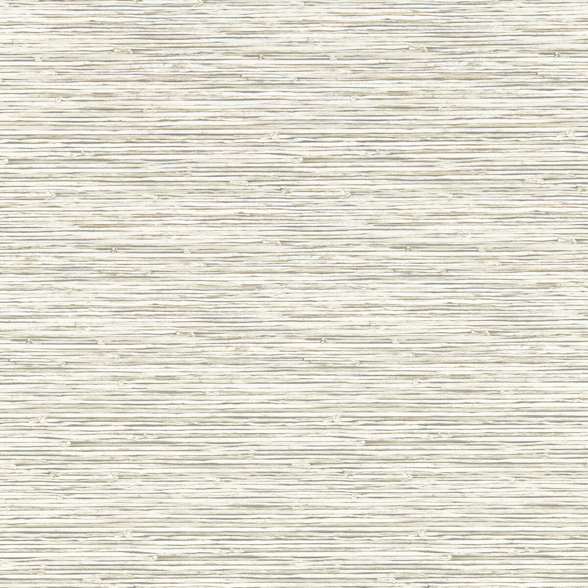 CLARKE AND CLARKE W0192/05.CAC.0 XAN PARCHMENT WP Wallpaper - Eade's Wallpaper