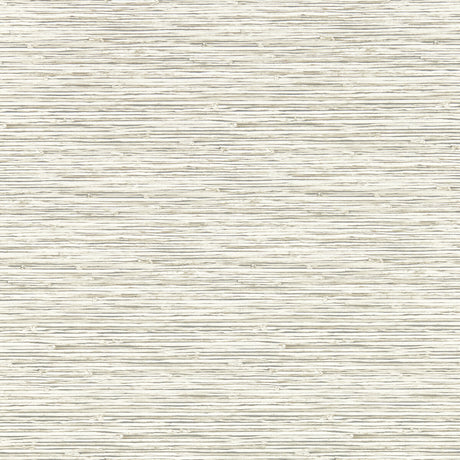 CLARKE AND CLARKE W0192/05.CAC.0 XAN PARCHMENT WP Wallpaper - Eade's Wallpaper