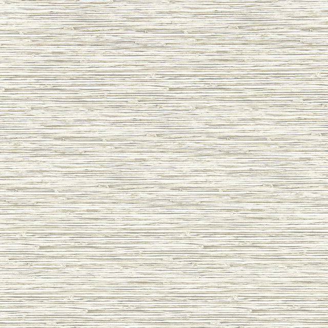 CLARKE AND CLARKE W0192/05.CAC.0 XAN PARCHMENT WP Wallpaper - Eade's Wallpaper