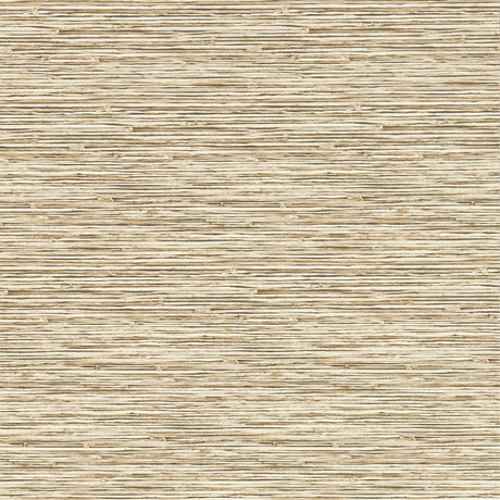 CLARKE AND CLARKE W0192/06.CAC.0 XAN SAHARA WP Wallpaper - Eade's Wallpaper