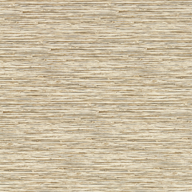 CLARKE AND CLARKE W0192/06.CAC.0 XAN SAHARA WP Wallpaper - Eade's Wallpaper