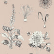 CLARKE AND CLARKE W0197/01.CAC.0 ROSERAIE BLUSH WP Wallpaper - Eade's Wallpaper