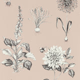 CLARKE AND CLARKE W0197/01.CAC.0 ROSERAIE BLUSH WP Wallpaper - Eade's Wallpaper