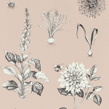 CLARKE AND CLARKE W0197/01.CAC.0 ROSERAIE BLUSH WP Wallpaper - Eade's Wallpaper
