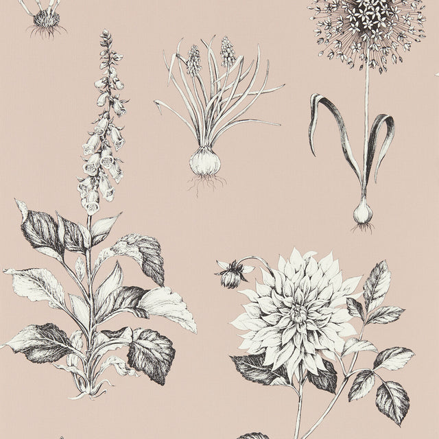 CLARKE AND CLARKE W0197/01.CAC.0 ROSERAIE BLUSH WP Wallpaper - Eade's Wallpaper