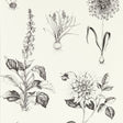 CLARKE AND CLARKE W0197/02.CAC.0 ROSERAIE CHARCOAL WP Wallpaper - Eade's Wallpaper