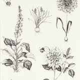 CLARKE AND CLARKE W0197/02.CAC.0 ROSERAIE CHARCOAL WP Wallpaper - Eade's Wallpaper