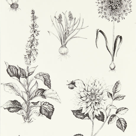 CLARKE AND CLARKE W0197/02.CAC.0 ROSERAIE CHARCOAL WP Wallpaper - Eade's Wallpaper
