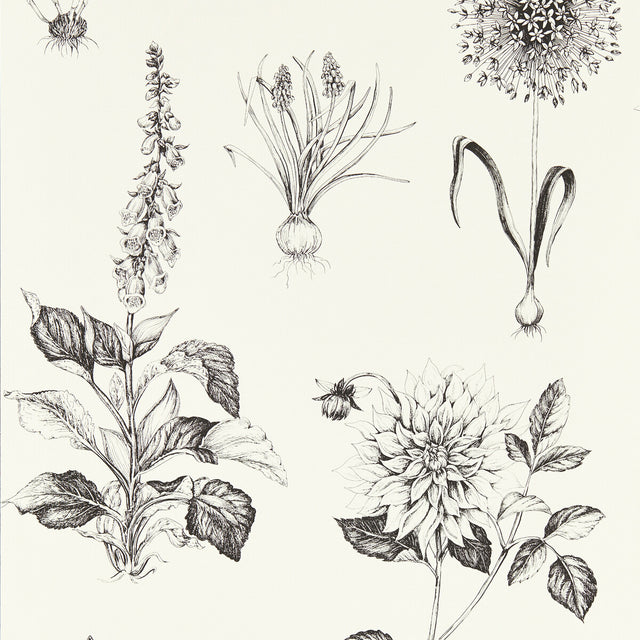 CLARKE AND CLARKE W0197/02.CAC.0 ROSERAIE CHARCOAL WP Wallpaper - Eade's Wallpaper