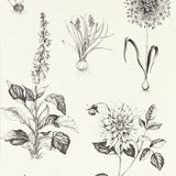 CLARKE AND CLARKE W0197/02.CAC.0 ROSERAIE CHARCOAL WP Wallpaper - Eade's Wallpaper