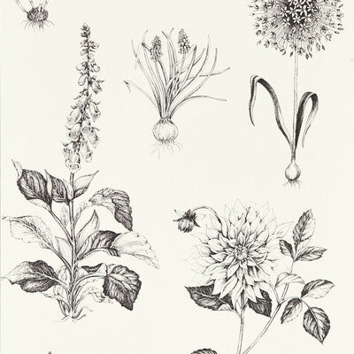 CLARKE AND CLARKE W0197/02.CAC.0 ROSERAIE CHARCOAL WP Wallpaper - Eade's Wallpaper