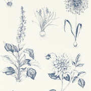 CLARKE AND CLARKE W0197/03.CAC.0 ROSERAIE MIDNIGHT WP Wallpaper - Eade's Wallpaper