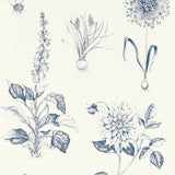 CLARKE AND CLARKE W0197/03.CAC.0 ROSERAIE MIDNIGHT WP Wallpaper - Eade's Wallpaper