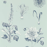 CLARKE AND CLARKE W0197/04.CAC.0 ROSERAIE SEAGLASS WP Wallpaper - Eade's Wallpaper