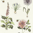 CLARKE AND CLARKE W0197/05.CAC.0 ROSERAIE SUMMER WP Wallpaper - Eade's Wallpaper