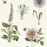 CLARKE AND CLARKE W0197/05.CAC.0 ROSERAIE SUMMER WP Wallpaper - Eade's Wallpaper