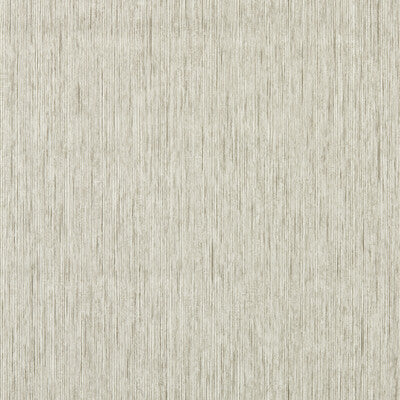 CLARKE AND CLARKE W0205/04.CAC.0 ASPER PUTTY WP Fabric - CLARKE & CLARKE EXPRESSIONS PERFORMANCE WALLCOVERING