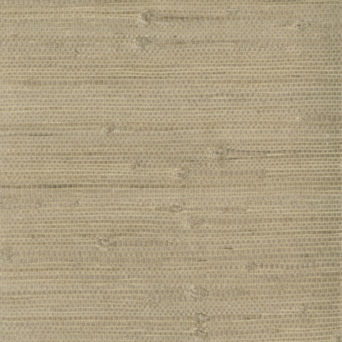 KRAVET DESIGN W3047.1606.0 KRAVET DESIGN W3047-1606 Wallpaper - Eade's Wallpaper