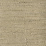 KRAVET DESIGN W3047.1606.0 KRAVET DESIGN W3047-1606 Wallpaper - Eade's Wallpaper