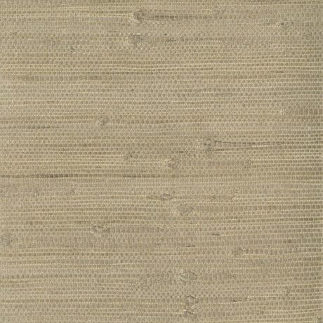 KRAVET DESIGN W3047.1606.0 KRAVET DESIGN W3047-1606 Wallpaper - Eade's Wallpaper