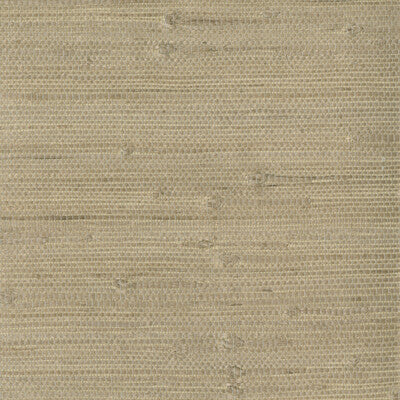 KRAVET DESIGN W3047.1606.0 KRAVET DESIGN W3047-1606 Wallpaper - Eade's Wallpaper