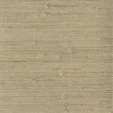 KRAVET DESIGN W3047.1606.0 KRAVET DESIGN W3047-1606 Wallpaper - Eade's Wallpaper