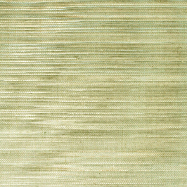 KRAVET DESIGN W3205.130.0 KRAVET DESIGN W3205-130 Wallpaper - Eade's Wallpaper