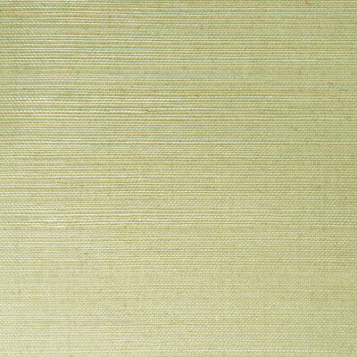 KRAVET DESIGN W3205.130.0 KRAVET DESIGN W3205-130 Wallpaper - Eade's Wallpaper