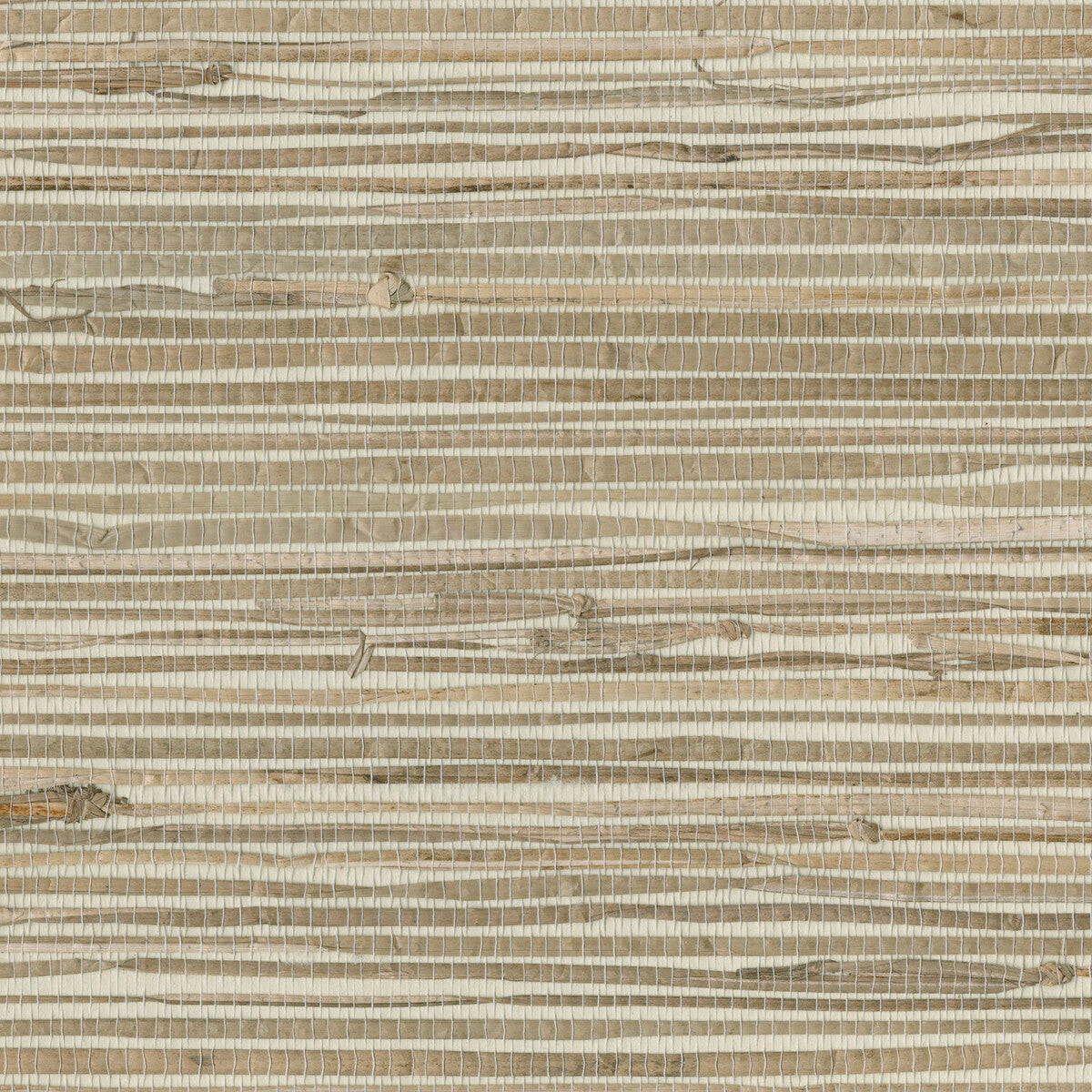 KRAVET DESIGN W3277.16.0 KRAVET DESIGN W3277-16 Wallpaper - Eade's Wallpaper