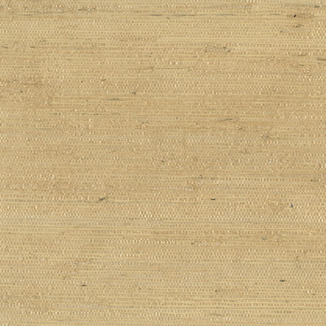 KRAVET DESIGN W3303.14.0 KRAVET DESIGN W3303-14 Wallpaper - Eade's Wallpaper