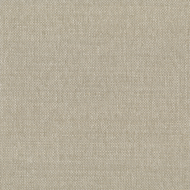 KRAVET DESIGN W3309.116.0 KRAVET DESIGN W3309-116 Wallpaper - Eade's Wallpaper