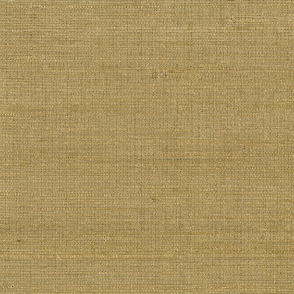 KRAVET DESIGN W3312.4.0 KRAVET DESIGN W3312-4 Wallpaper - Eade's Wallpaper