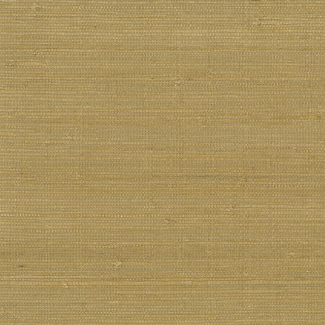 KRAVET DESIGN W3312.4.0 KRAVET DESIGN W3312-4 Wallpaper - Eade's Wallpaper