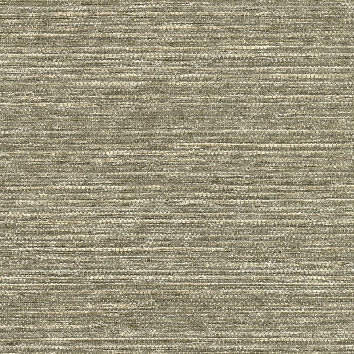 KRAVET DESIGN W3464.1611.0 KRAVET DESIGN W3464-1611 Wallpaper - Eade's Wallpaper