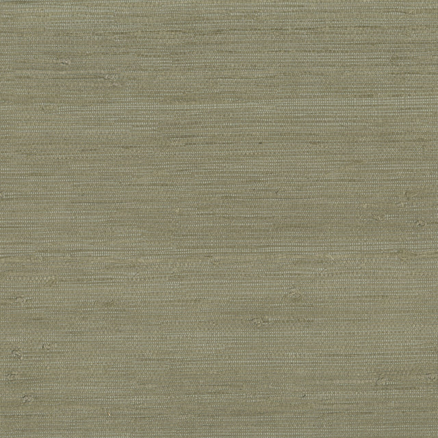 KRAVET DESIGN W3540.106.0 KRAVET DESIGN W3540-106 Wallpaper - Eade's Wallpaper